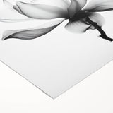 Monochrome Lotus Elegance - Modern Living Room Canvas Wall Art