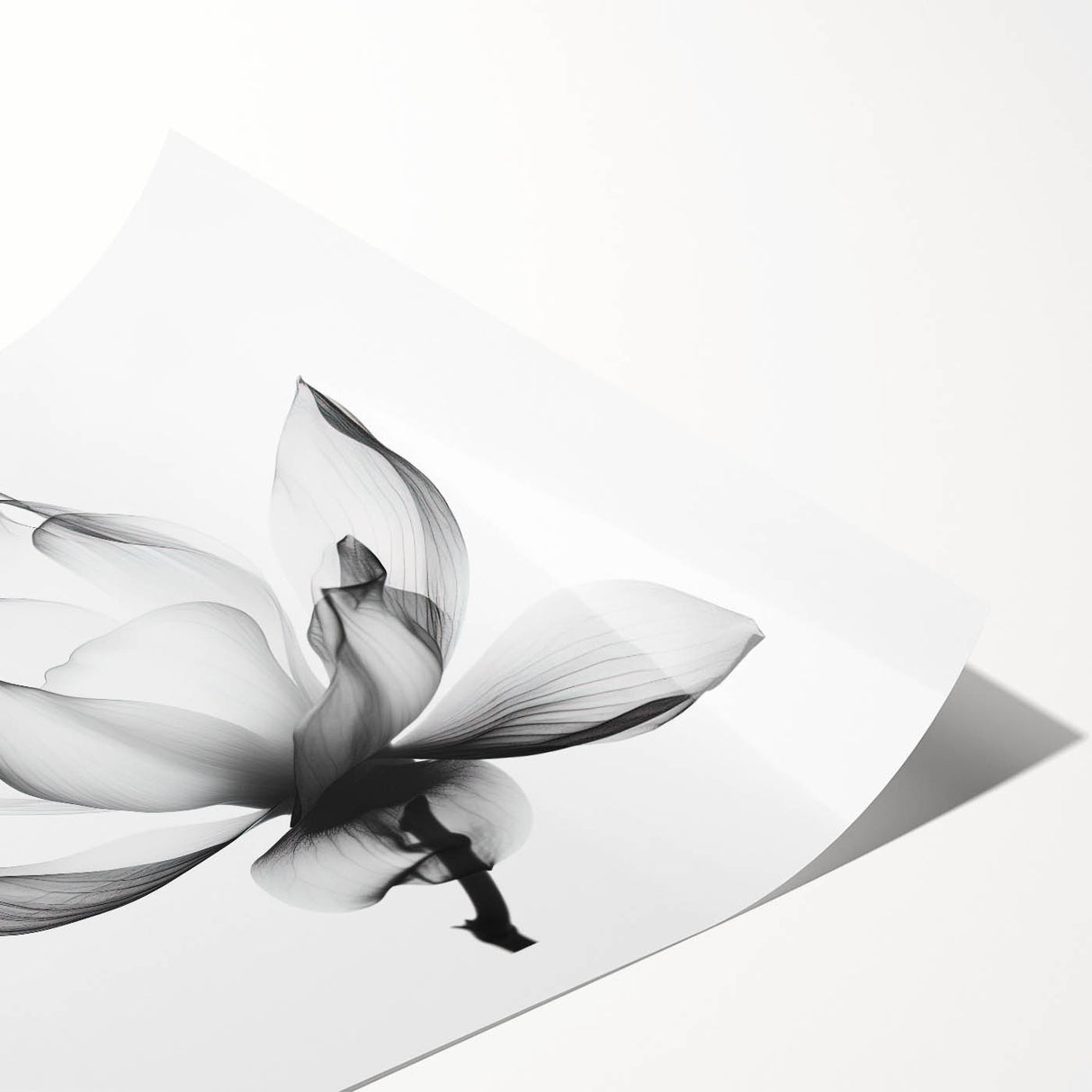 Monochrome Lotus Elegance - Modern Living Room Canvas Wall Art