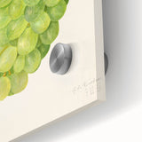 Large abstract wall art featuring assorted fruits in vibrant colors on acrylic glass, suitable for dining room decor.