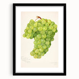 Extra large abstract art print featuring vibrant, colorful fruit designs on a textured canvas, framed in black.