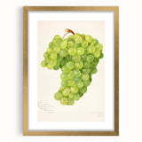 Extra large abstract art print featuring textured fruits in vibrant colors, framed in gold, ideal for living room decor.