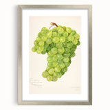 Textured art featuring abstract patterns of fruits in muted earth tones, framed in silver, ideal for kitchen wall decor.