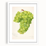 Abstract art print of assorted fruits in vibrant colors on a white framed mat, ideal for dining room decor.