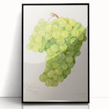 Large abstract wall art featuring assorted fruits in vibrant colors on black acrylic, framed, ideal for kitchen decor.