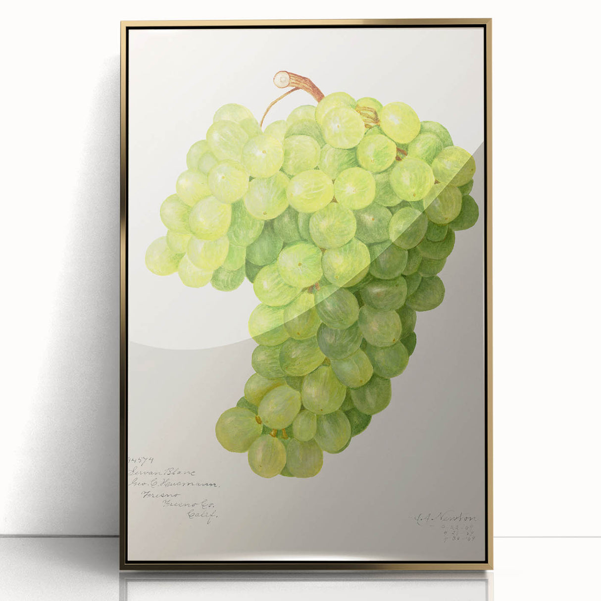 Large art print of assorted fruits in vibrant colors on a gold-framed acrylic, styled in mid-century modernist art.