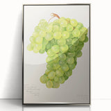 Mid-century modernist art featuring an array of fruits in vibrant colors on a silver-framed acrylic print.