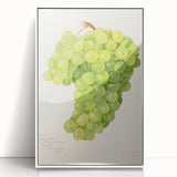 Framed acrylic print featuring an array of colorful fruits in an art deco style, ideal for modern kitchen decor.