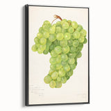 Black and white framed canvas featuring a vintage poster art style landscape of fruits, ideal for bedroom wall decor.