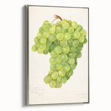 Landscape art painting of colorful fruits on a black background, framed in silver, ideal for kitchen wall decor.