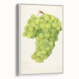 Vintage poster art of colorful fruits on a large framed canvas, ideal for living room decor.