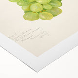 Art deco poster featuring an array of fruits in bold colors on a rolled canvas, ideal for dining room decor.