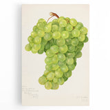 Black and white stretched canvas depicting an assortment of fruits, ideal for kitchen wall art.