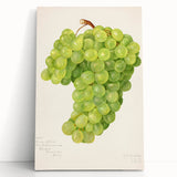 Black and white stretched canvas featuring an array of fruits, ideal for kitchen wall art.