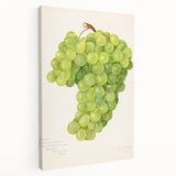 A large canvas featuring a vibrant depiction of assorted fruits, ideal for kitchen wall art.