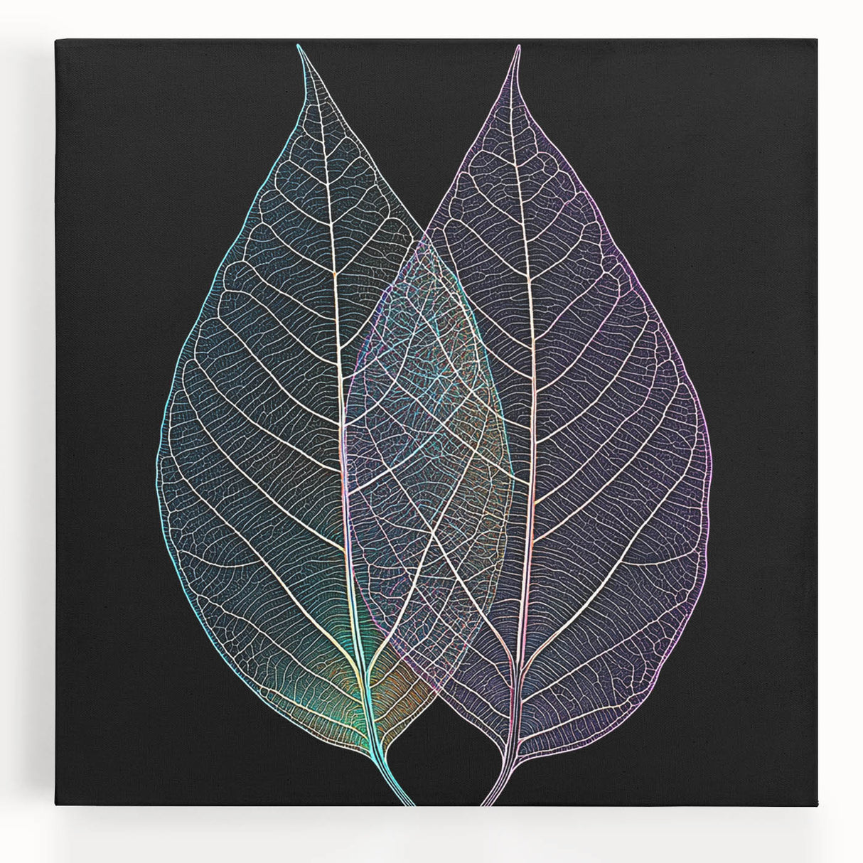 Black and white close-up photo of leaves on a large stretched canvas, ideal for kitchen wall art.