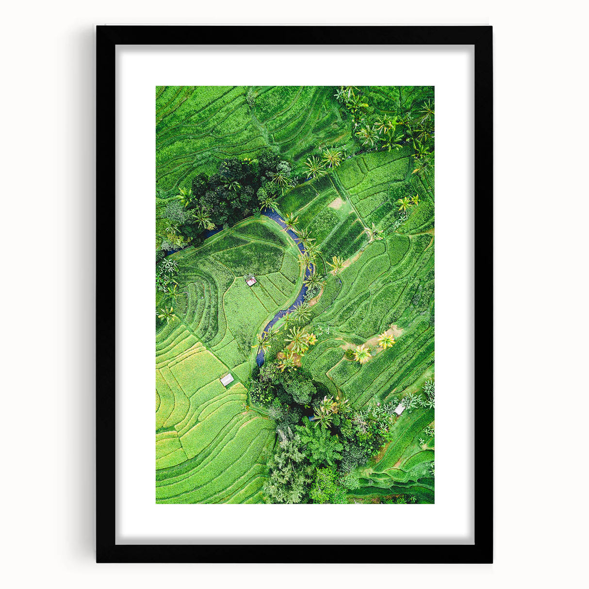 Extra large abstract art print featuring vibrant spring colors on a textured canvas, framed in black.