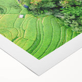 Art deco poster featuring a stylized spring scene in pastel shades, on rolled canvas, ideal for dining room decor.