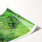 Extra large wall art featuring line art flowers in pastel shades on rolled canvas, suitable for large living room spaces.