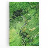 Large black and white abstract canvas depicting spring season, ideal for kitchen wall art.