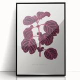 Romanticism Art: "Pink Achyranthes Leaf" Classic Botanical Print