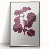 Romanticism Art: "Pink Achyranthes Leaf" Classic Botanical Print