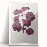 Romanticism Art: "Pink Achyranthes Leaf" Classic Botanical Print