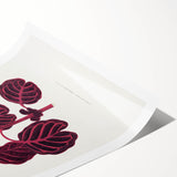 Romanticism Art: "Pink Achyranthes Leaf" Classic Botanical Print