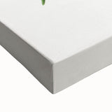 Romanticism Art: "Graptophyllum Pictum Leaf" Botanical Canvas Print