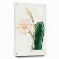Romanticism Art: "Lady of the Night Cactus" Botanical Canvas Print