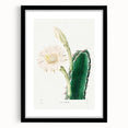 Romanticism Art: "Lady of the Night Cactus" Botanical Canvas Print