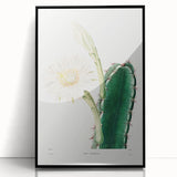 Romanticism Art: "Lady of the Night Cactus" Botanical Canvas Print