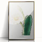Romanticism Art: "Lady of the Night Cactus" Botanical Canvas Print