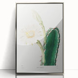 Romanticism Art: "Lady of the Night Cactus" Botanical Canvas Print