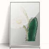 Romanticism Art: "Lady of the Night Cactus" Botanical Canvas Print