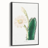 Romanticism Art: "Lady of the Night Cactus" Botanical Canvas Print
