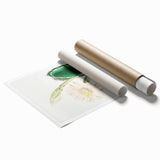 Romanticism Art: "Lady of the Night Cactus" Botanical Canvas Print