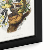 Romanticism Art: "Northern Mockingbird & Snake" Wildlife Canvas Print