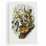Romanticism Art: "Northern Mockingbird & Snake" Wildlife Canvas Print