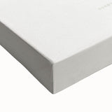 Romanticism Art: "Dracaena Leaf" Botanical Canvas Print