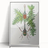 Romanticism Art: "Stag Beetle" Wildlife Botanical Canvas Print