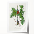 Romanticism Art: "Stag Beetle" Wildlife Botanical Canvas Print