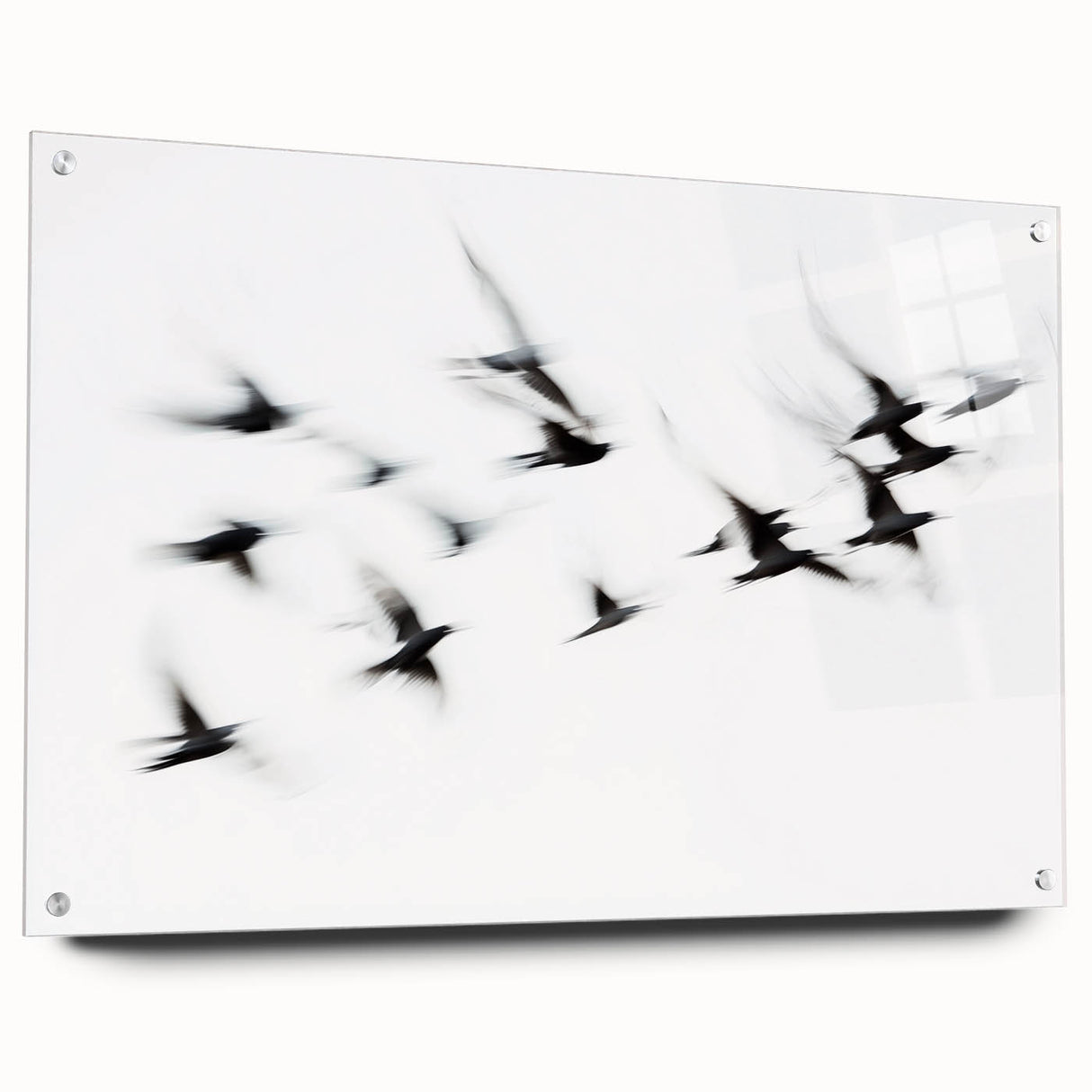 Flight in Motion – Dynamic Black and White Abstract Bird Wall Art