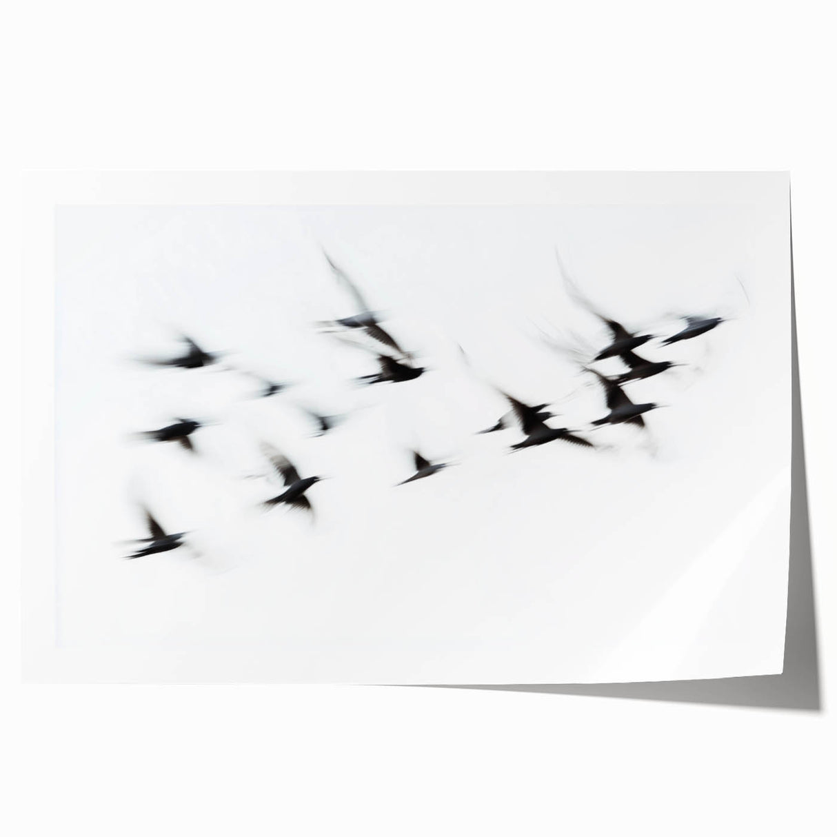 Flight in Motion – Dynamic Black and White Abstract Bird Wall Art