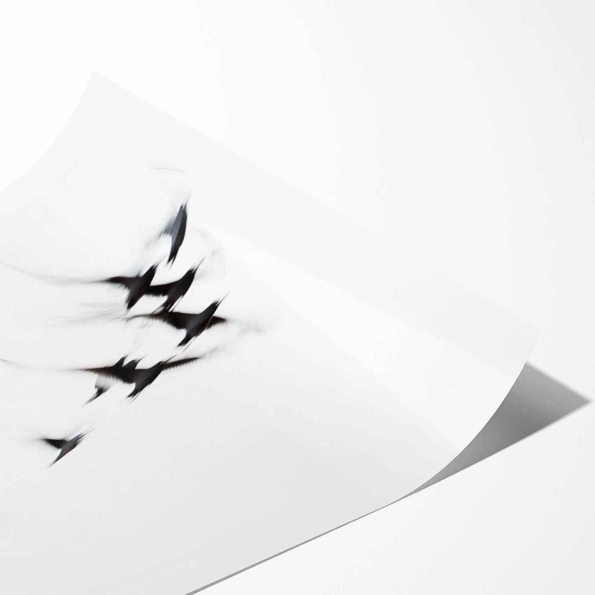 Flight in Motion – Dynamic Black and White Abstract Bird Wall Art