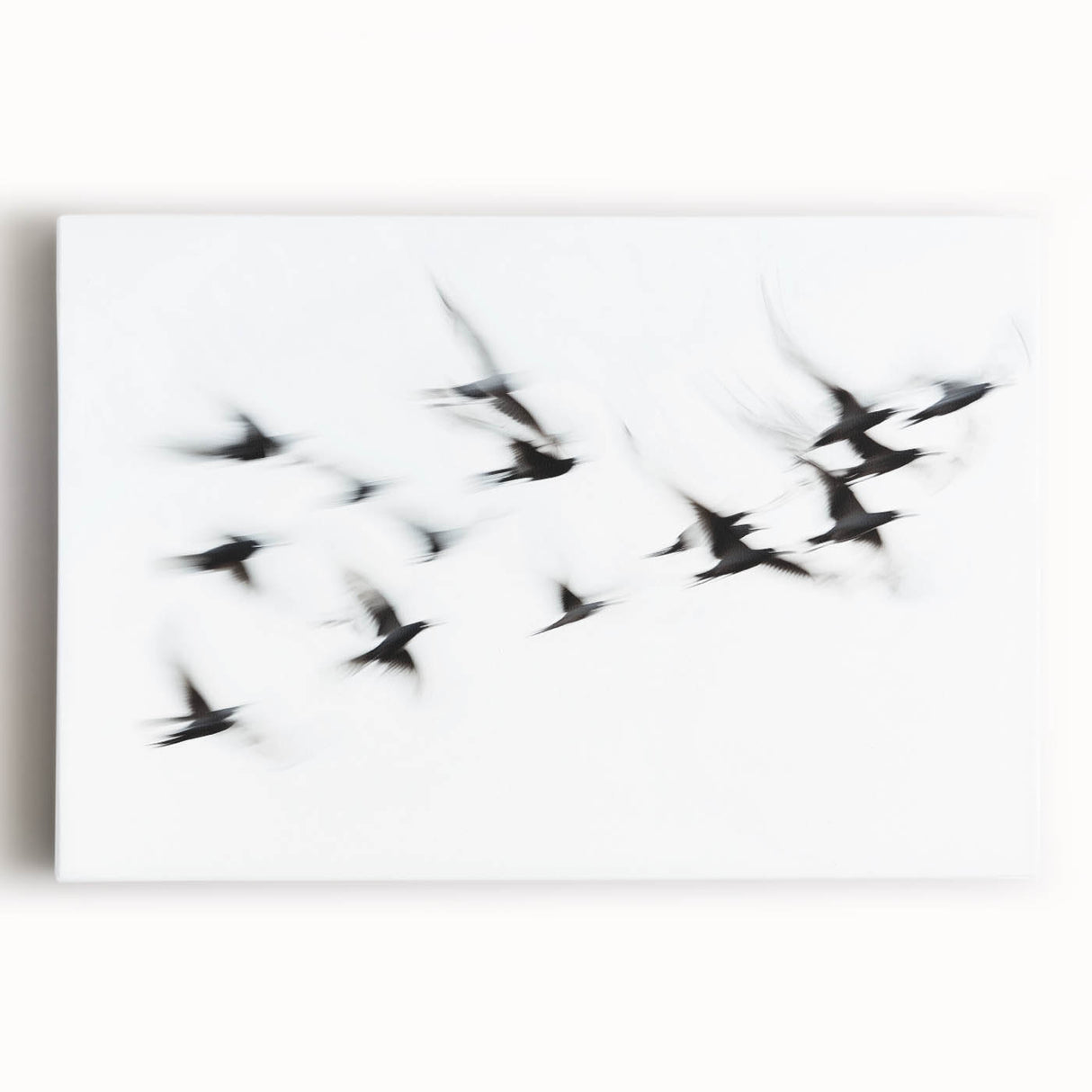 Flight in Motion – Dynamic Black and White Abstract Bird Wall Art