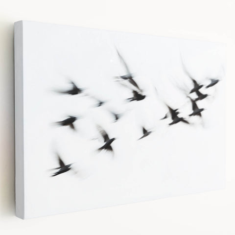 Flight in Motion – Dynamic Black and White Abstract Bird Wall Art