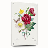 Neoclassical Art Print of Hellebore and Oeillet by Redouté - Floral Decor