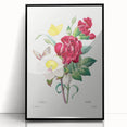 Neoclassical Art Print of Hellebore and Oeillet by Redouté - Floral Decor