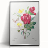 Neoclassical Art Print of Hellebore and Oeillet by Redouté - Floral Decor