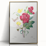 Neoclassical Art Print of Hellebore and Oeillet by Redouté - Floral Decor